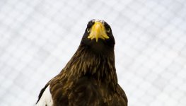 DSC_2013-2.jpg