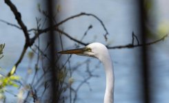 DSC_1776.jpg