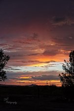 07-01-21-CR-_7505080-ON1.jpg