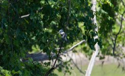 DSC_5659.jpg