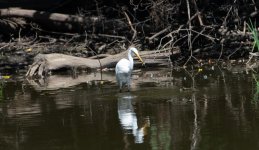 DSC_5592.jpg