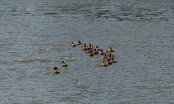 DSC_5436.jpg