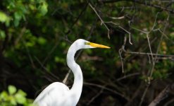 DSC_2443.jpg