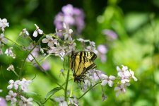 DSC_3102.jpg