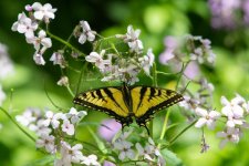DSC_3109.jpg