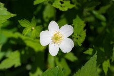 DSC_3038.jpg