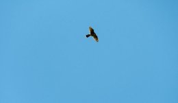 DSC_5728.jpg