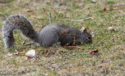 DSC_4211.jpg