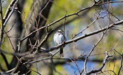 DSC_0318.jpg