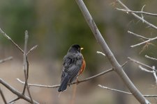 DSC_1643.jpg