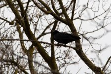 DSC_1708.jpg