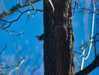 DSC_4486.jpg
