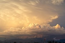 07-05-21-CR-_7505106-ON1.jpg