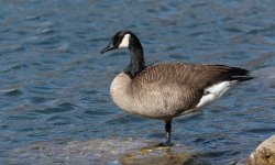 DSC_3911.jpg