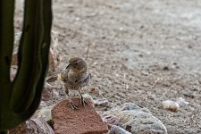 07-08-21-CR-_D501440-ON1.jpg