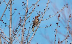DSC_1200.jpg