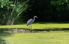 DSC_4619.jpg