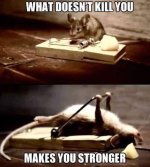 269B3CFC-D416-4154-B624-CF424A04C43F.jpeg