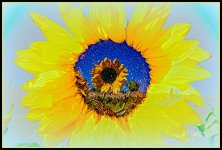 710_3484-Edit.jpg