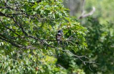DSC_5496.jpg