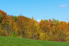 DSC_2927.jpg