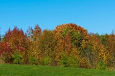 DSC_2928.jpg