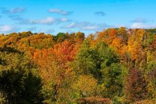 DSC_2968.jpg