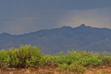 07-11-21-CR-_D501491-ON1.jpg