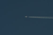 _ROY8422.jpg