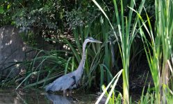 DSC_5667.jpg