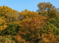 DSC_2998.jpg