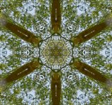 2021-04-29 16.40.30-1-nik-kaledoscope-s.jpg
