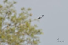 07-15-21-CR-_D501518-ON1.jpg