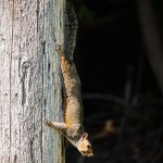 DSC_4307.jpg
