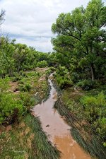 07-24-21-CR-_7505185-ON1.jpg
