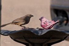 07-27-21-CR-_D501651-ON1.jpg