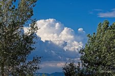07-27-21-CR-_D501652-ON1.jpg