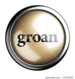 220325370_10219431868923788_8573899618206316090_n.jpg