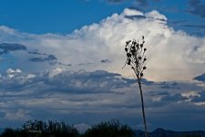 07-29-21-CR-_D501656-ON1.jpg