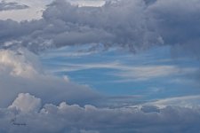 07-29-21-CR-_D501661-ON1.jpg