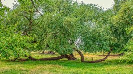 710_3647-Edit.jpg