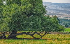 710_3650-Edit.jpg