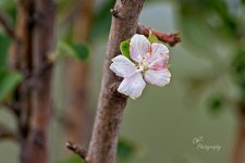 07-30-21-CR-_D501667-ON1.jpg