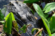 DSC_1183.jpg