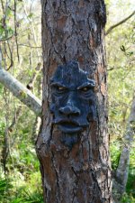 Tree Person 3.jpg