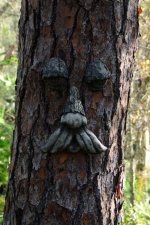 Tree Person 4.jpg