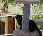 pepper and squirrel 1500.jpg pepper and squirrel 1500.jpg