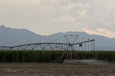 08-06-21-CR-_D501715-ON1.jpg