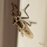 08-08-21-CR-_7505279-ON1.jpg