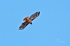 08-12-21-CR-_D501759-ON1.jpg